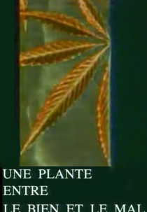 The Magic Weed: History of Marijuana Plant (Le cannabis - Une plante entre le bien et le mal)