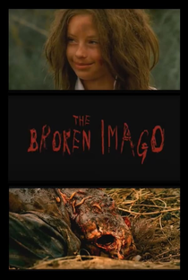 The Broken Imago - Poster / Capa / Cartaz - Oficial 1