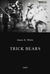 Trick Bears - Poster / Capa / Cartaz - Oficial 2