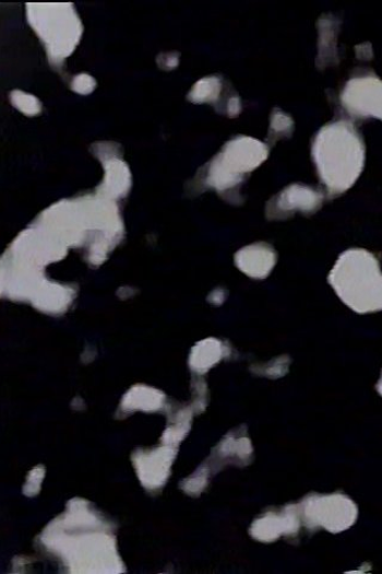 Poster de Curta 01.39411.999 (2012)