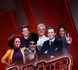 The Voice Brasil (9ª Temporada)