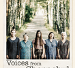 Voices from Chernobyl