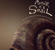 Memórias de um Caracol