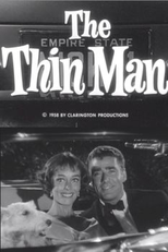 The Third Man (1ª Temporada) (The Third Man (Season 1))