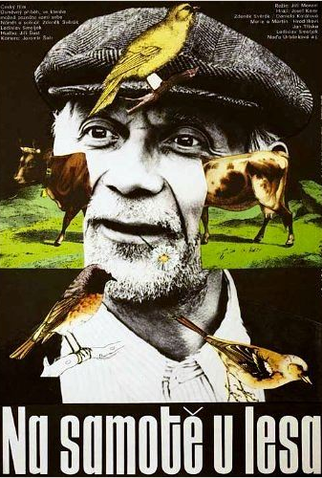 Poster 1 de Filme Na samote u lesa (1976)