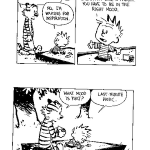 Foto de perfil de Calvin