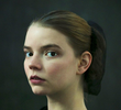 The Miniaturist