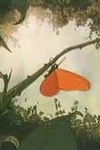  de Curta Alphamorphosis (2006)