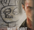 White Rabbit