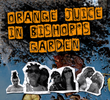 Orange Juice in Bishop’s Garden