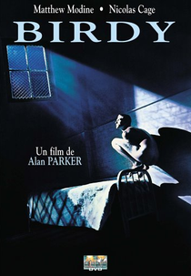 Asas da Liberdade (Birdy)