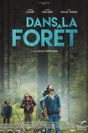 Poster de Filme Na Floresta (2016)