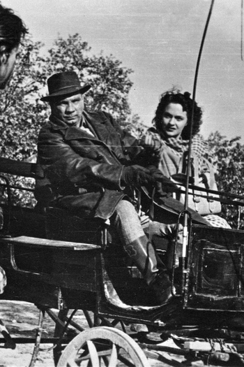  de Filme Mitrea Cocor (1952)