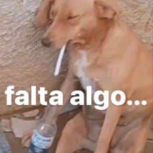 Foto de perfil de Eden