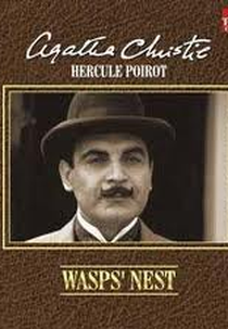 A Casa dos Marimbondos (Wasp's Nest)