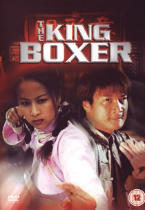 Combate de Mestres (Tian xia wu di zhang men ren)