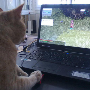 Foto de perfil de Lord Lucas