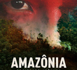 Amazônia Sociedade Anônima