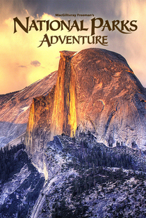 National Parks Adventure - Poster / Capa / Cartaz - Oficial 2