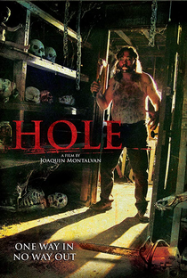 Hole - Poster / Capa / Cartaz - Oficial 1
