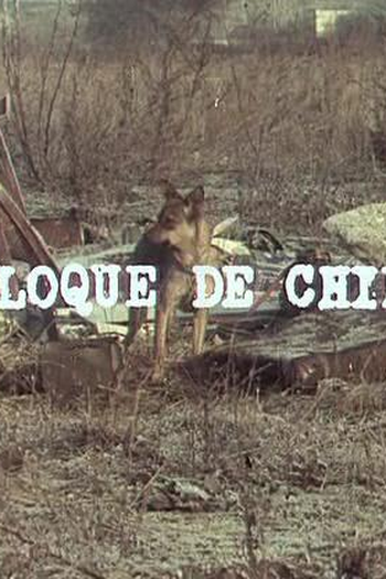 de Curta Colóquio de Cães (1977)