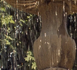 Falling Water