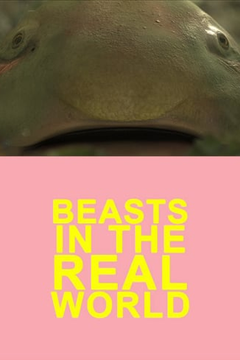 Poster de Curta Beasts in the Real World (2013)