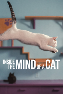 Dentro da Mente de um Gato - Poster / Capa / Cartaz - Oficial 1
