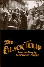 A Tulipa Negra (The Black Tulip / De Zwarte Tulp)