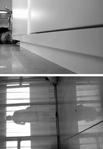 Tchau e Benção (Tchau e Benção)