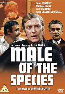 Male of the Species (Male of the Species)