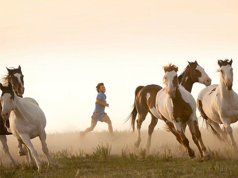 Foto 9 de Na Natureza Selvagem