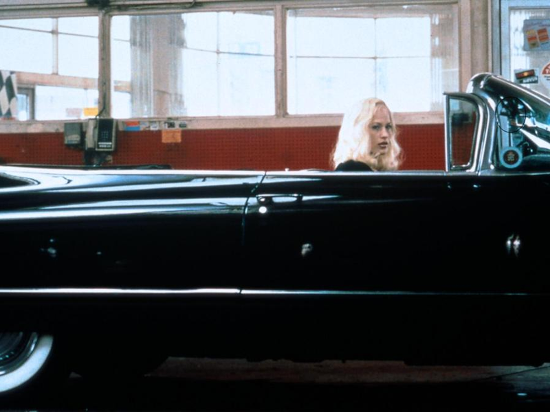 Foto 14 de Estrada Perdida