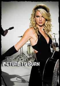 Taylor Swift: Picture to Burn (Taylor Swift: Picture to Burn)