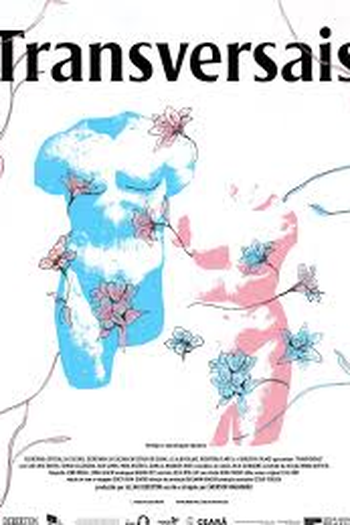  de Filme Transversais (2022)