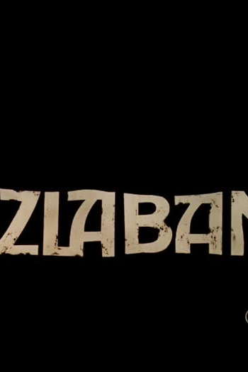 Poster de Curta The Barrier (1977)