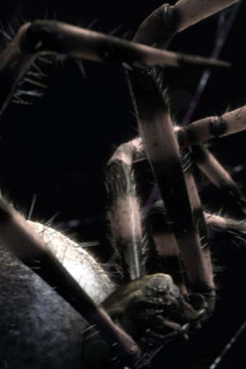  de Curta Loom (2011)