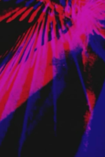 Poster de Curta Ville Marie (2009)