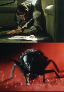 A Mosca (De Vlieg)