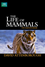 A Vida dos Mamíferos (The Life of Mammals)