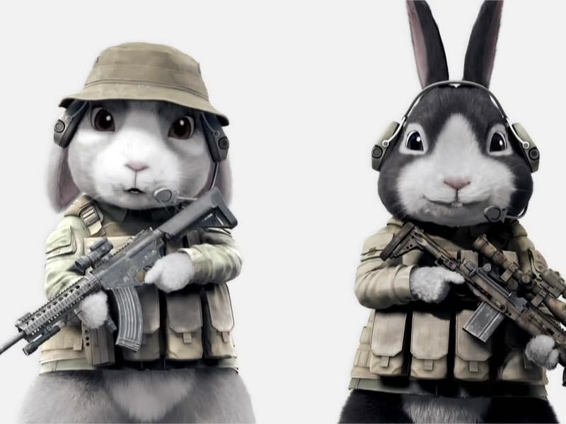 Foto 1 de Cat Shit One