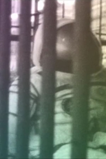 Na Boa Terra (On the Good Earth)