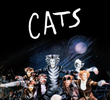 Cats: O Musical
