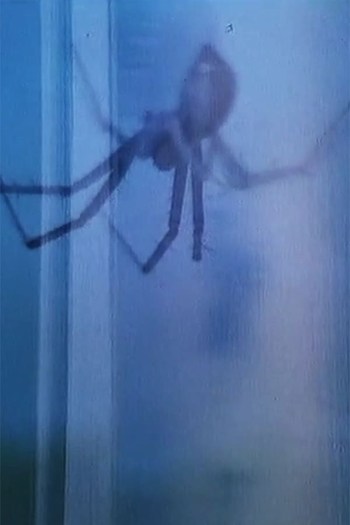 Poster de Curta Flora & Fauna (1965)