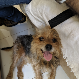 Foto de perfil de Leandro