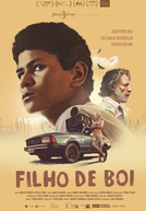 Filho de Boi