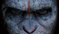 [Crí­tica] Planeta dos Macacos: O Confronto
