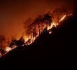 Devastating Disasters