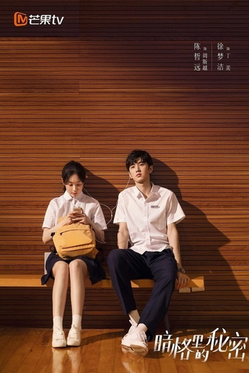Poster de Franquia 暗格里的秘密 (2021)