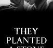 They Planted a Stone